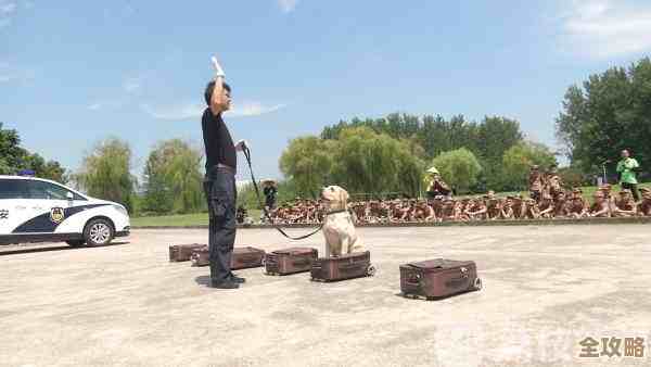 反恐精英手游到底哪个更合适我这种菜鸟?说说体验 反恐精英手游到底哪个更合适我这种菜鸟?说说体验